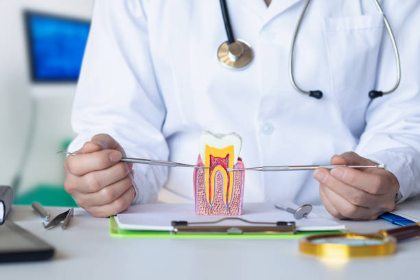 Best Emergency Dentist for Lost Fillings or Crowns in Bar Nunn, WY